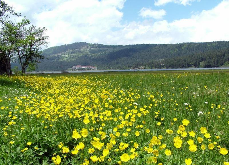Hotel Abant Dort Mevsim Konagi Bolu Esterno foto